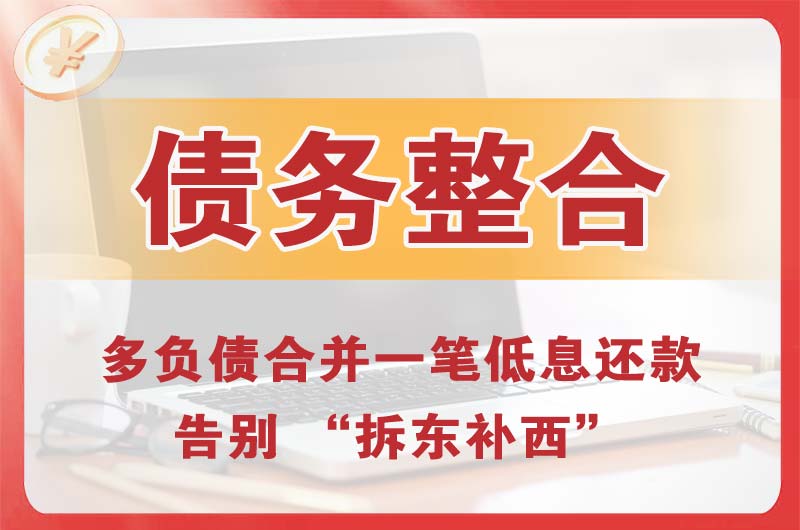 堆龙德庆债务整合